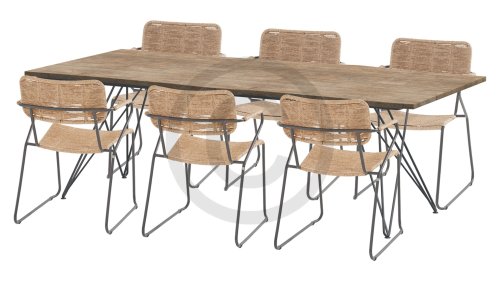 taste 4seasons swing natural 