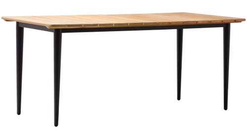 zebra spider diningtafel 160x90cm