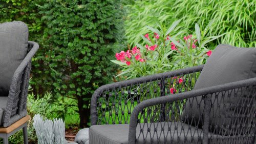 niehoff freeport loungeset